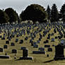 Cemetery