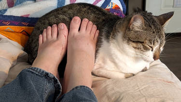 Feet on Pussy Cat