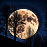 the full moon in March