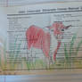 Cow On Silverado Page