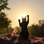 Reach For the Light