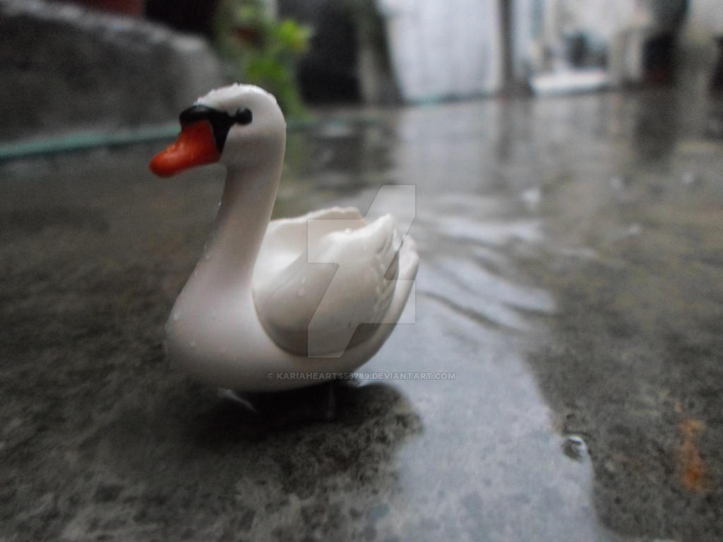 swan by KariaHearts56789 on DeviantArt