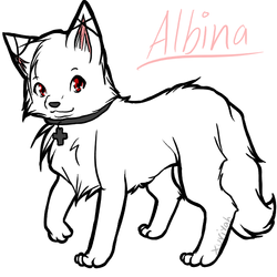 Albina for Kittz