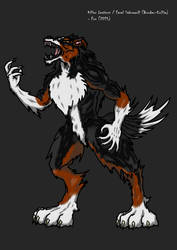 Killer Instinct / Feral Sabrewulf (Border Collie)