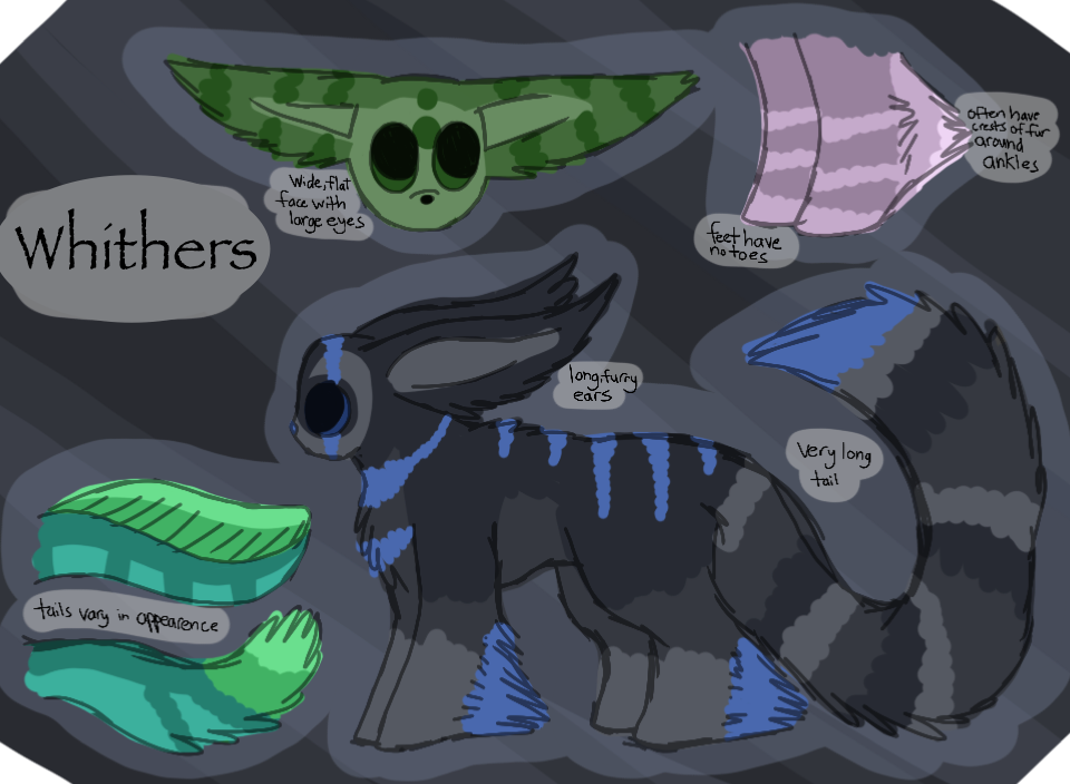 Whither Species Reference Sheet