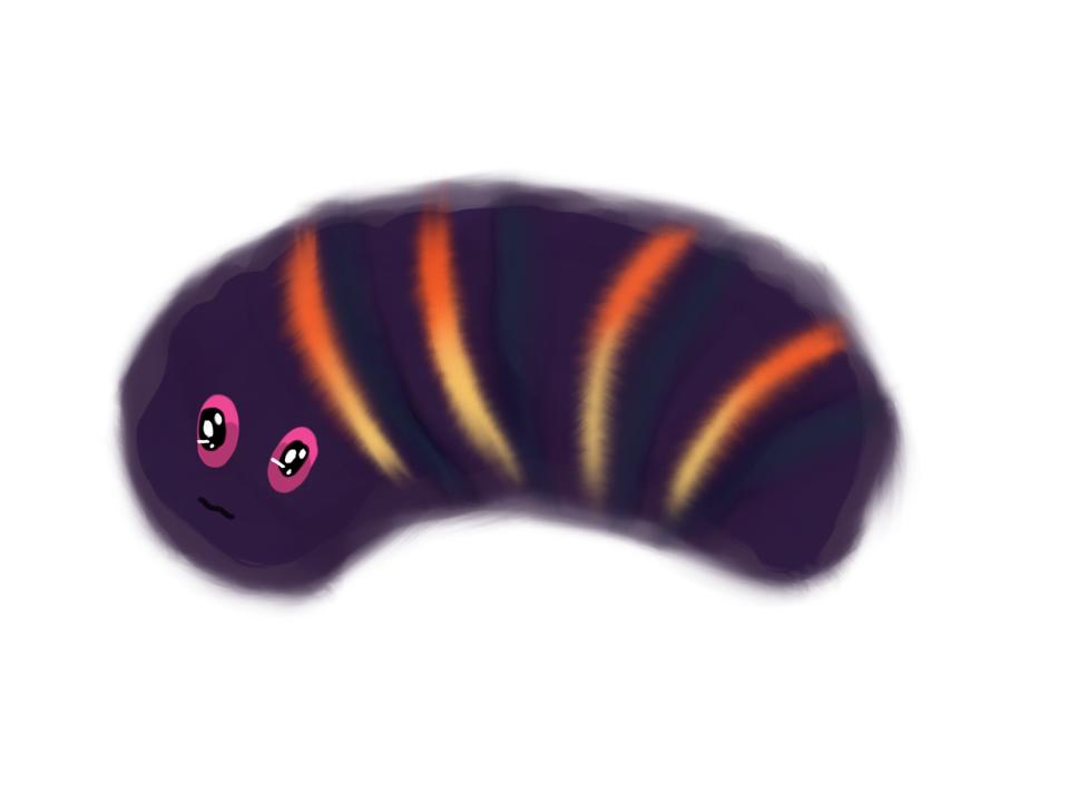 Not A Caterpillar, A Sea Cucumber