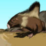 Stink Mohawk Murder Shrew ... AKA Dimetrodon