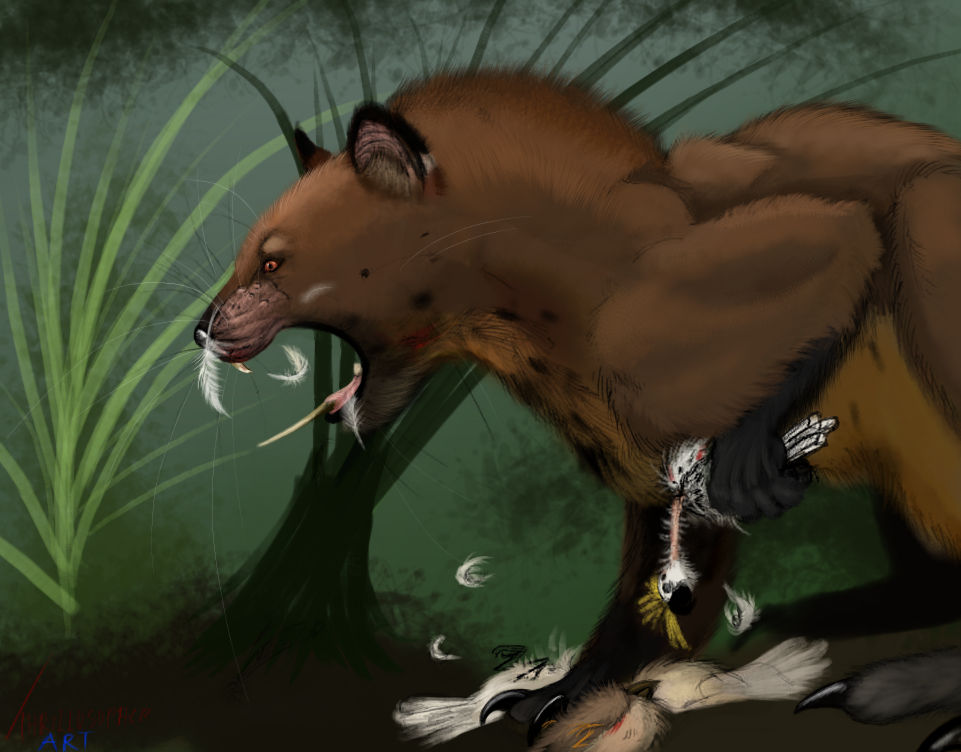 Propleopus, the sabertoothed killer kangaroo