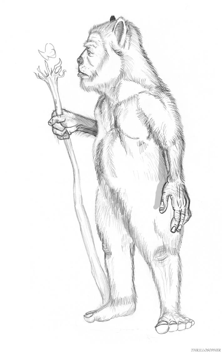 Bugbear mythologically accurate by Thrillosopher on DeviantArt