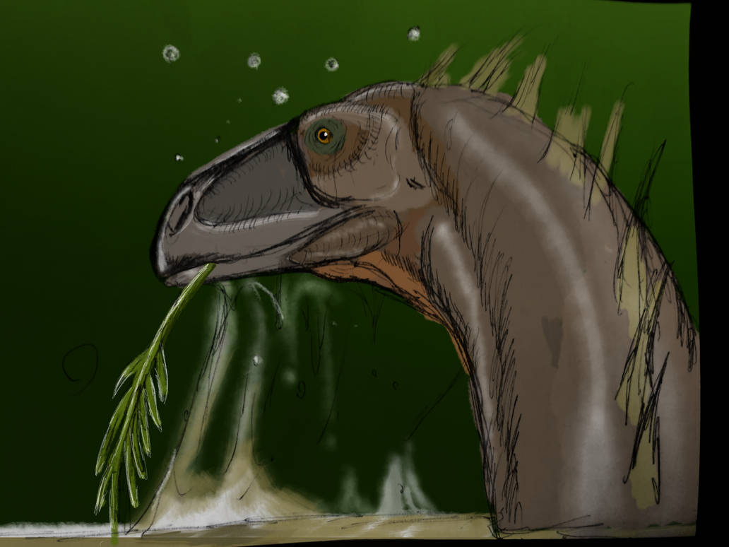 Mokele Mbembe by Thrillosopher on DeviantArt