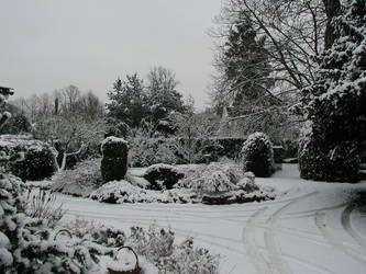 Snow capped Garden