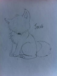 My little Jacob