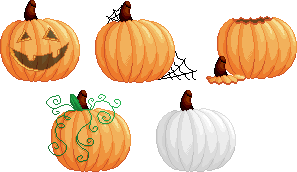 Pumpkin Patch