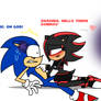 When Sonic Meets Shadina (ft Amy Rose)