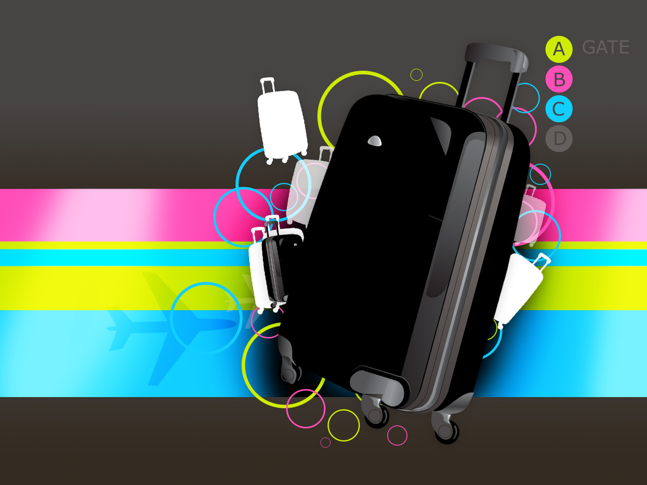 SL Suitcase