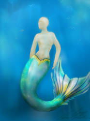 Mermaid tail (Request)