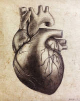 #4 heart of a realist