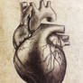 #4 heart of a realist