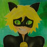 Miraculous Ladybug - Chat Noir 