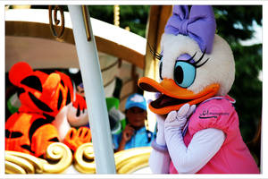 Daisy Duck