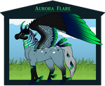 N6843 Aurora Flare