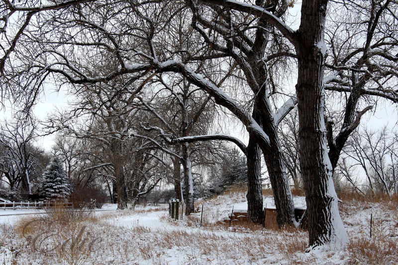Sunday Walk by 1001G Sunday Walk by 1001G