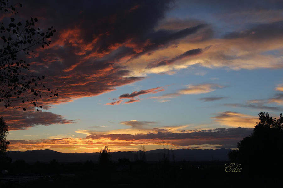 Bronco Sunset