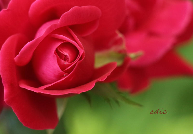 Happy Birthday Christina