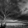 Into the storm