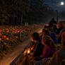 hay ride visitors