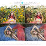 Lightroom 3 presets: Pack of 2