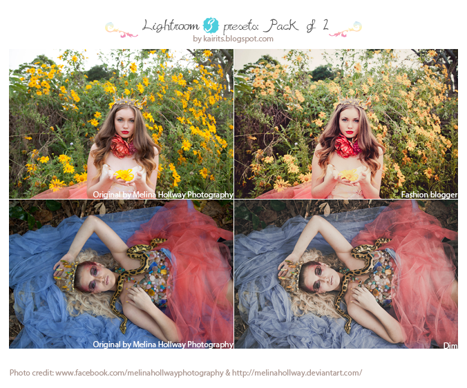 Lightroom 3 presets: Pack of 2