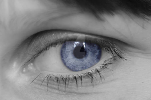 blue eye 1