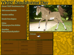 WMS' Sandstorms Day (Sandsto) ID#: 065 by Feya-san