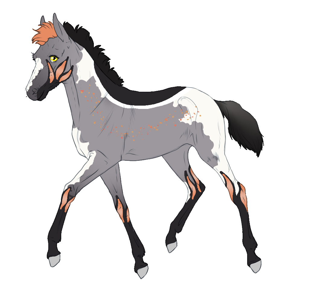 4134 - Padro Foal Design for LegolasGoldy