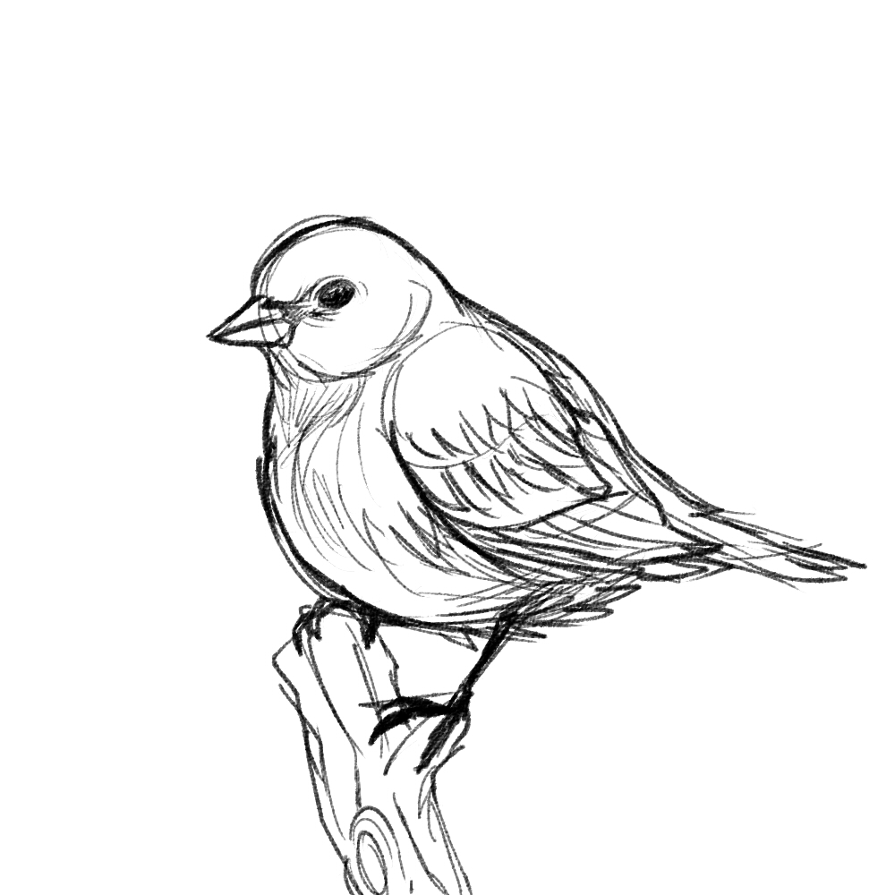 Fat Bird by Forde6 on DeviantArt