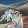 Bedouin and arabian horse