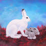 Polar hare with her leverets (another)