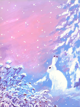 Mountain Hare in the Snow Landscape