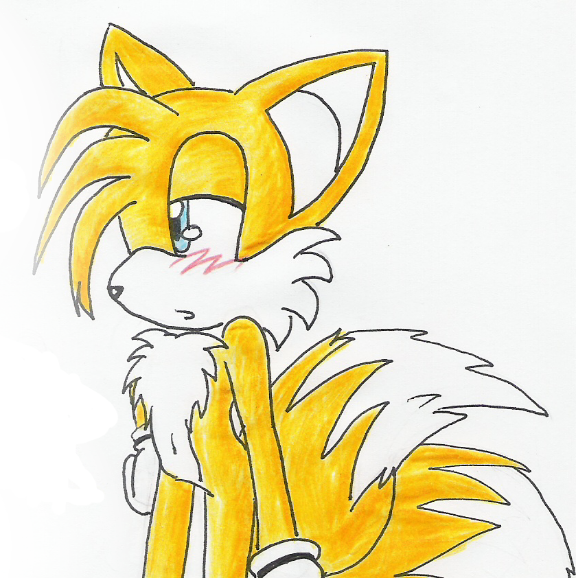 MILES TAILS PROWER- by zeofox713 on DeviantArt