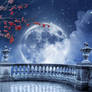 Romantic full moon premade