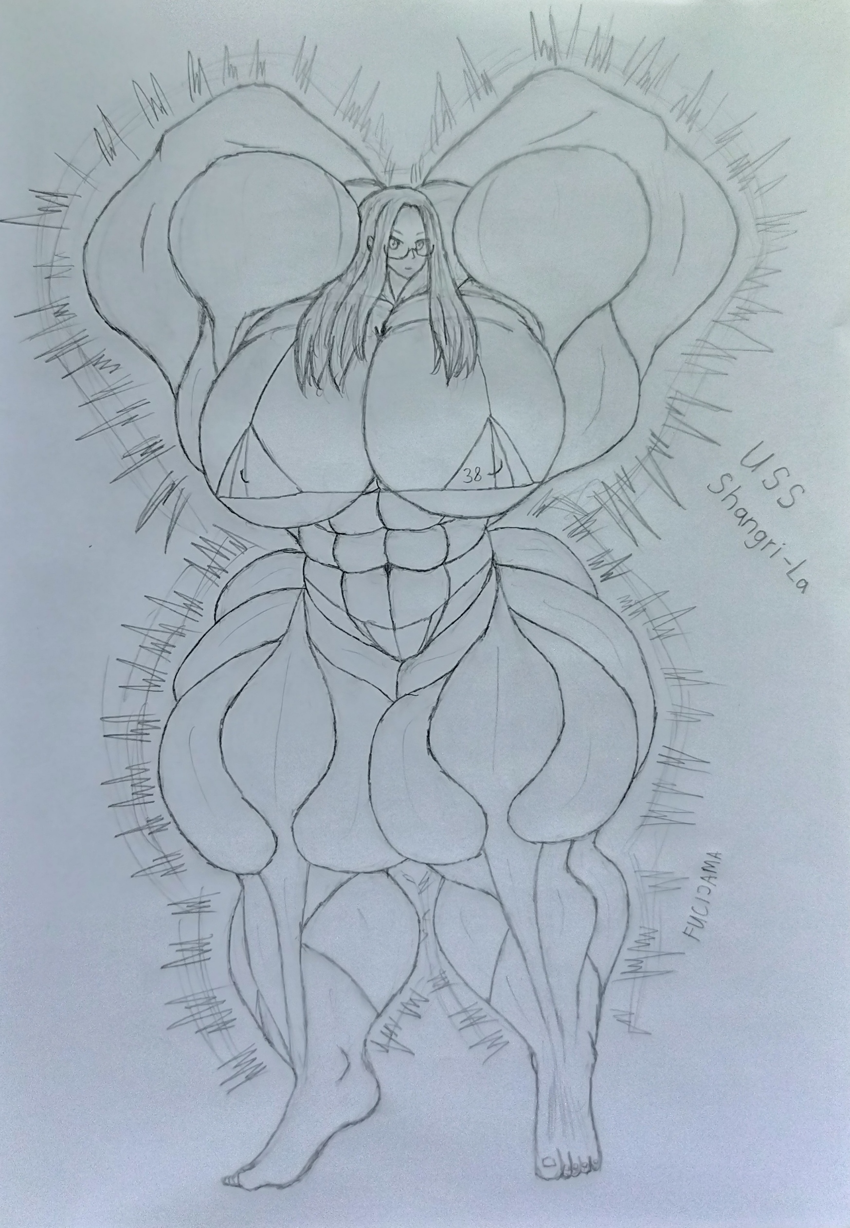 Muscular USS Shangri-La