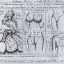 Mogador muscle growth page1