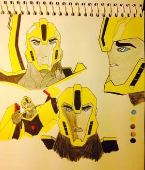 Bumblebee RID 2015