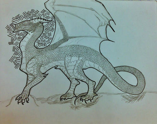 Old dragon sketch