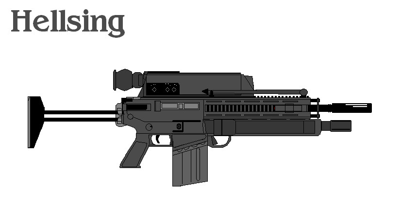 Land Warrior 2000: M36A1 DMR