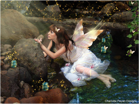 Fairy fireflie Fantasy