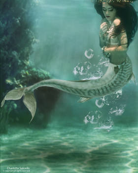 mermaid under neath