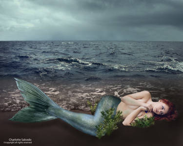 Mermaid captures the heart of the ocean