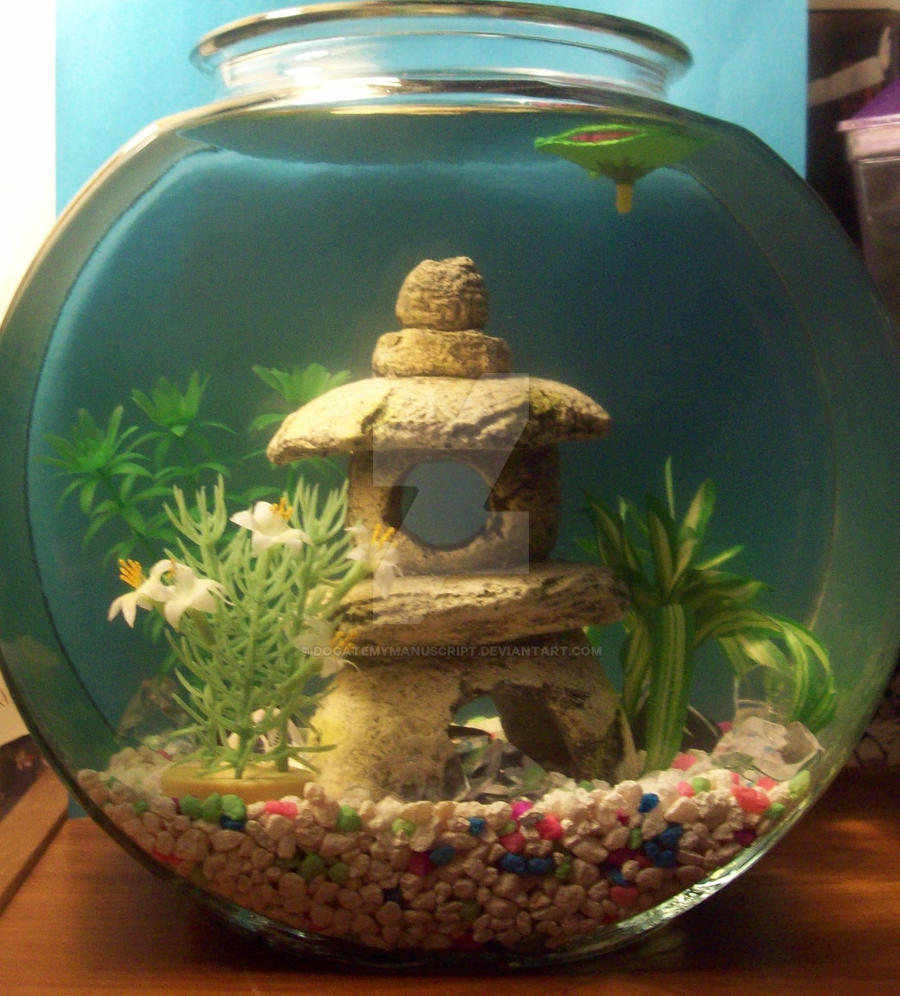 aquarium zen garden by